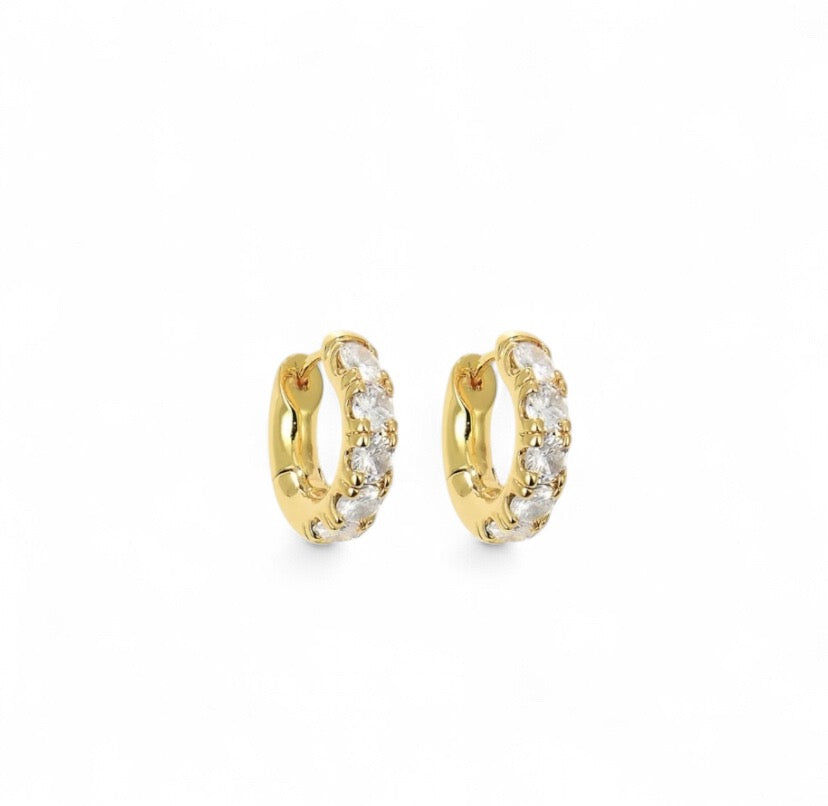 Aretes Paula